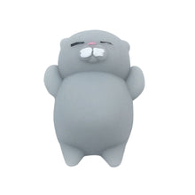 Load image into Gallery viewer, Breast Colorful Adorable Cute Animal Hand Wrist Squeezing Fidget Toys Squishy Mini Stress Relief Squeeze Doll Slow Risng Venting Ball